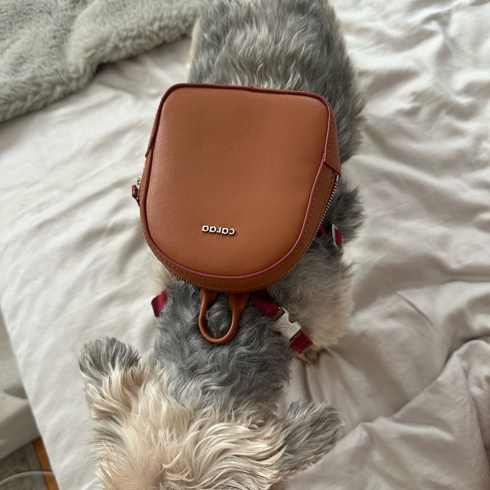 Caraa dog backpack - Picture 2 of 4